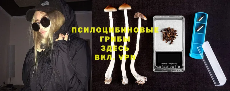 купить наркотики цена  Биробиджан  Галлюциногенные грибы Magic Shrooms 